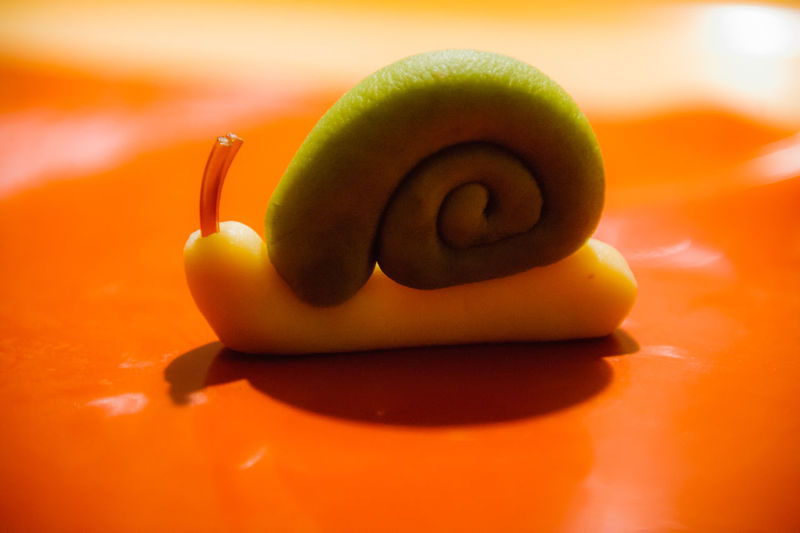 Close-up of food on table