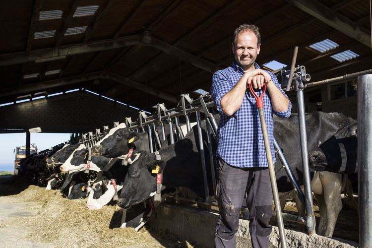 Portrait of farmer holding a shovel on a cow farm