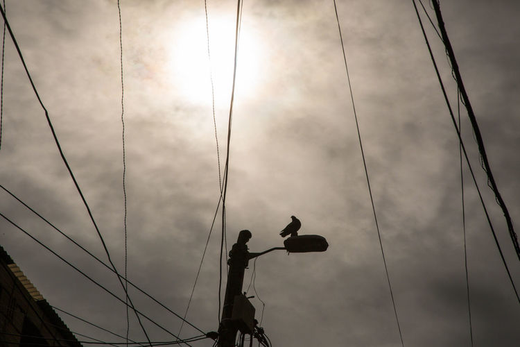 Low angle view of silhouette birds on cable