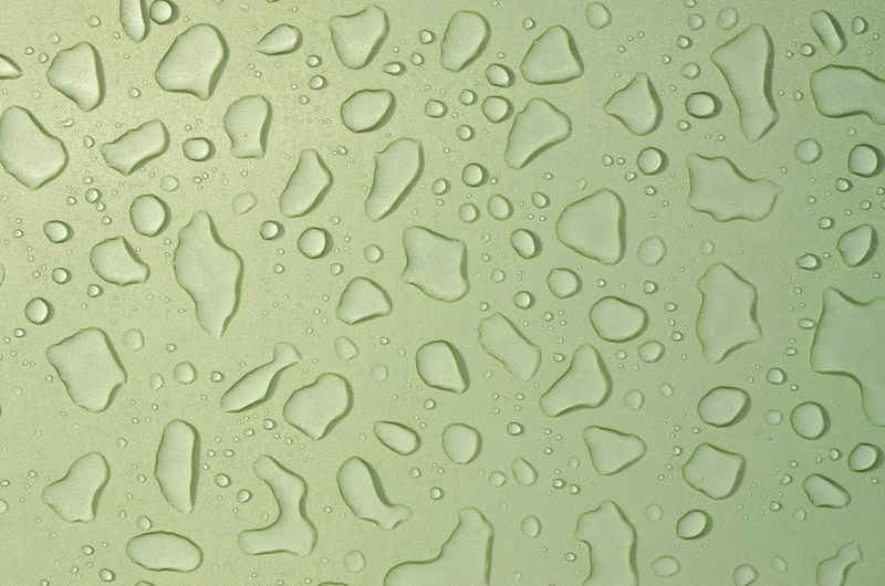 Full frame shot of raindrops on green surface