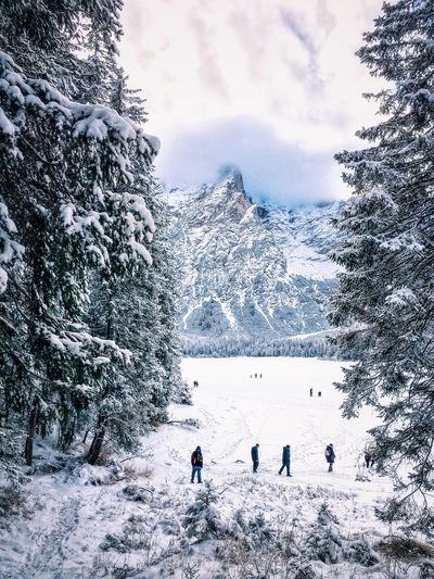 Scenic view of snow covered mountain
