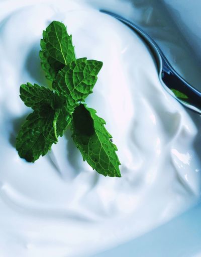 Detail shot of yoghurt with mint leaves