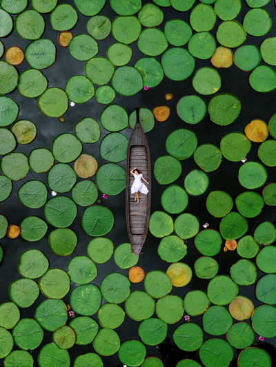High angle view of woman standing by plants