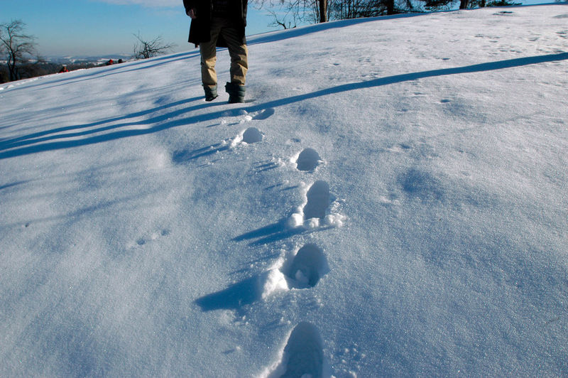 Low section of person walking on snow