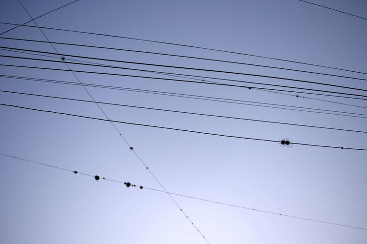 Low angle view of power cables against clear sky
