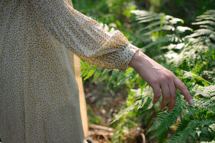 Midsection of woman touching plants in forest