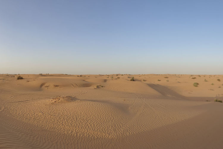 Sand dunes in the empty desert 