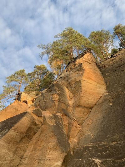 Low angle view of rock formation amidst trees against sky