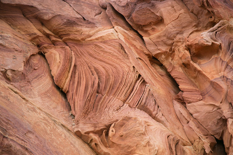 Fantastical sandstone layers in coyote buttes, vermillion cliffs