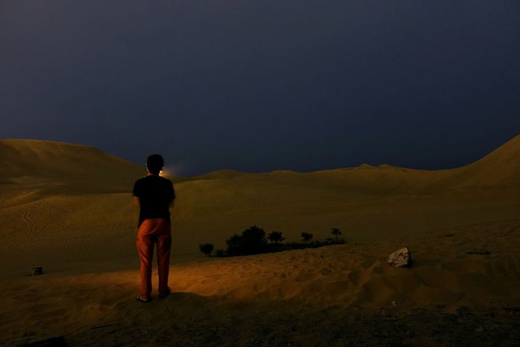 Rear view of man standing on landscape at night