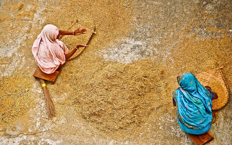 High angle view of women winnowing rice