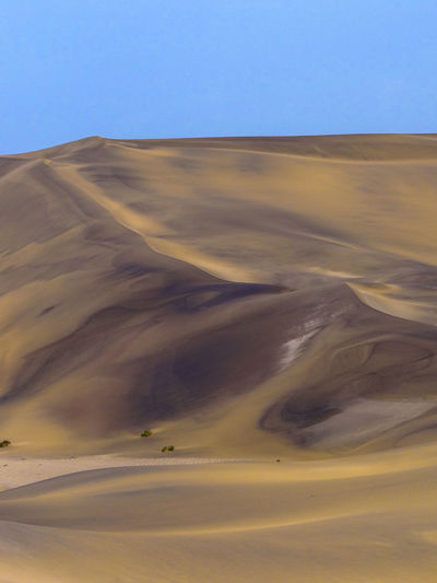 Photograph of a sand dune in the namib desert near swakopmund, namibia on a sunny dry season morning