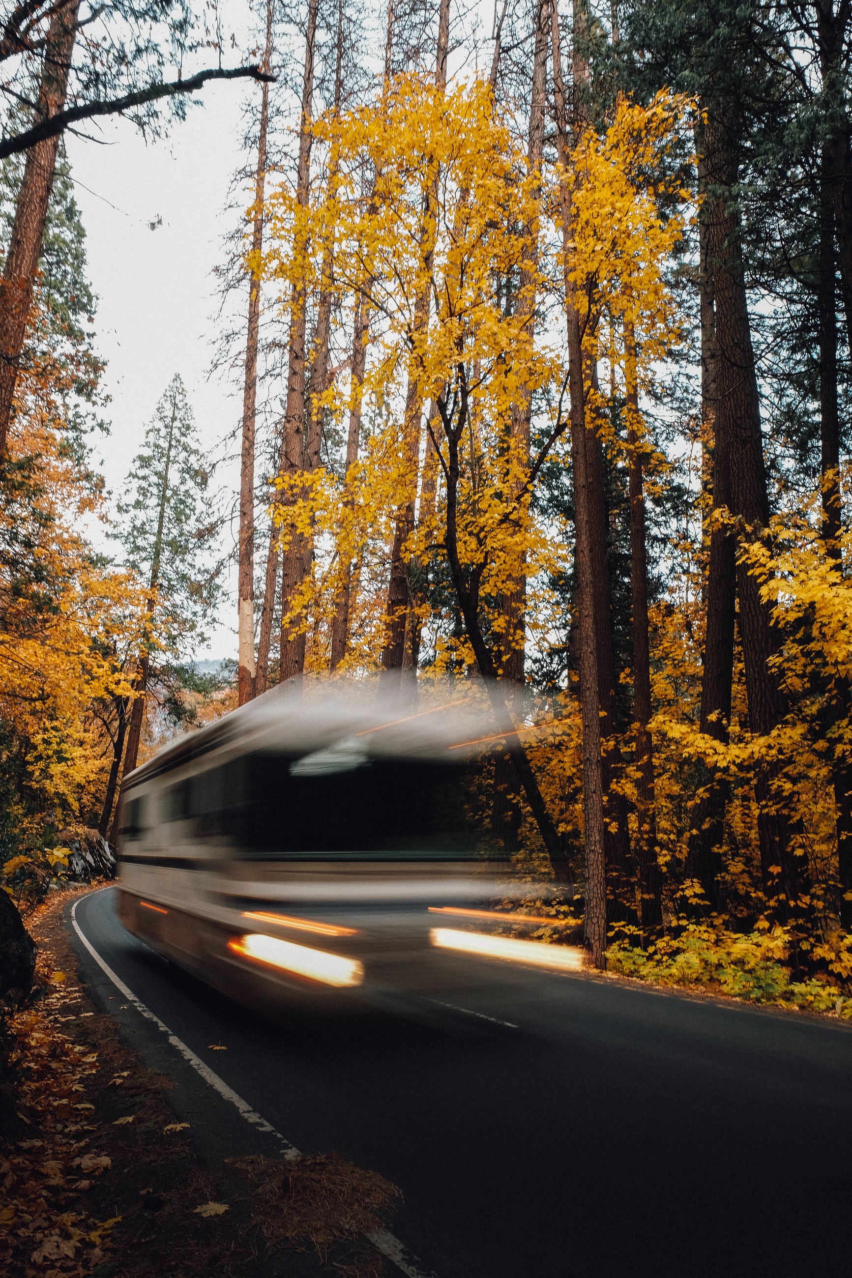 strolling by. Yosemite National Park Forest Autumn Road Car Change