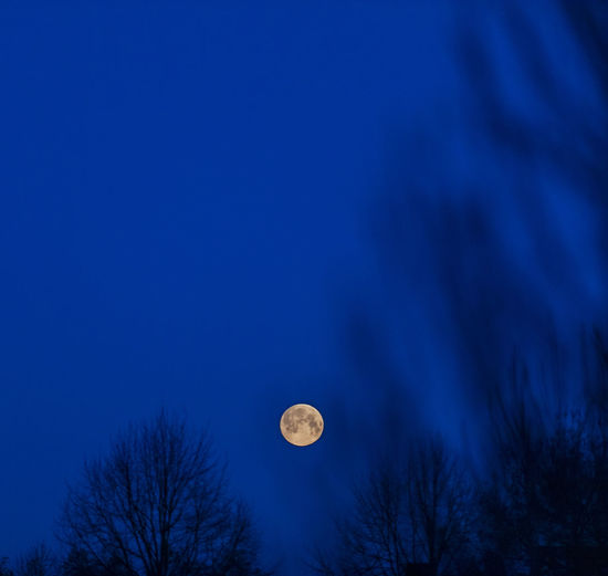 Low angle view of moon against blue sky at night