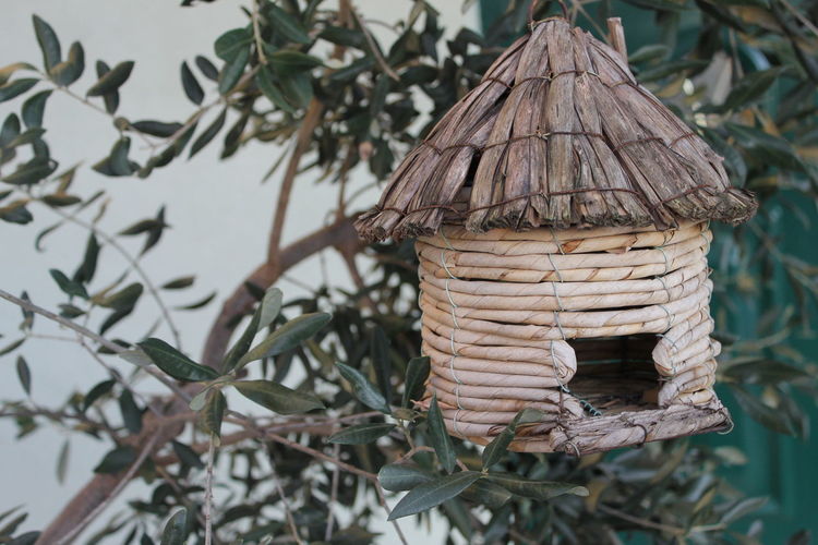Close-up of birdhouse on plant