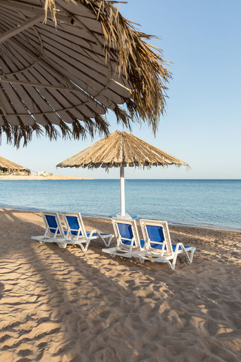 A sun lounger under an umbrella. sandy beach with palm trees 