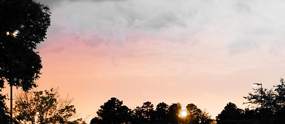 Low angle view of silhouette trees against sky during sunset