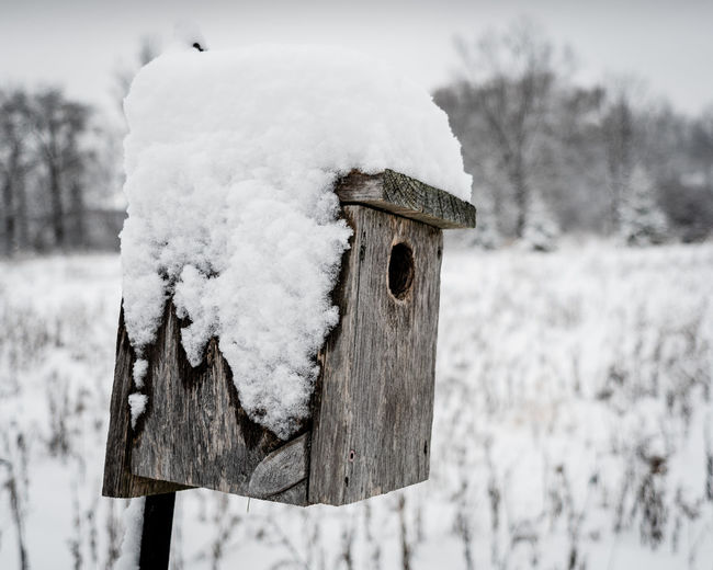 Close-up of birdhouse on snow covered field