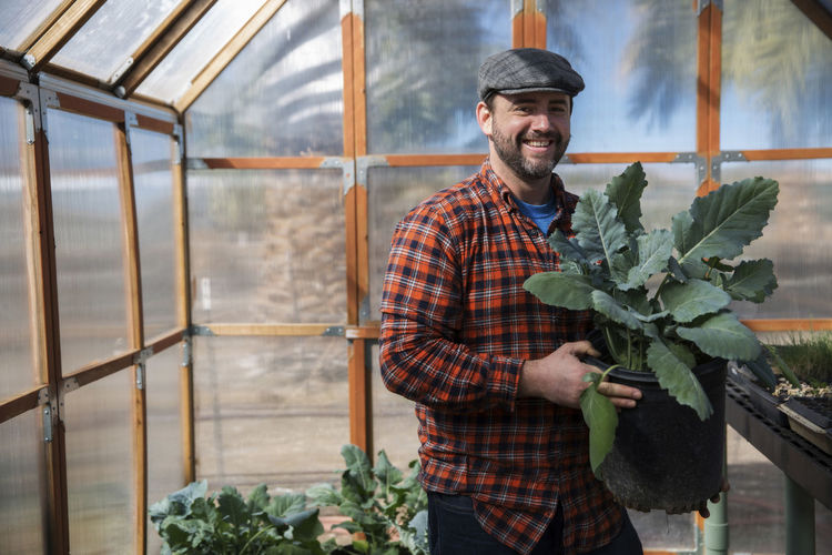 Portrait of man holding leaf vegetable plant while standing in greenhouse