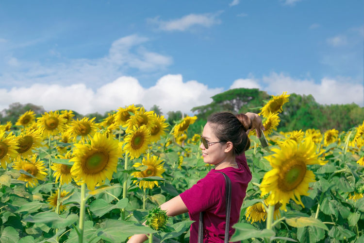 Asian woman wearing sunglasses standing poses in the middle of sunflower fields.