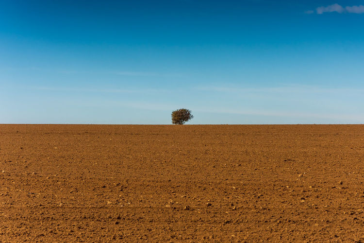 Scenic view of desert against sky