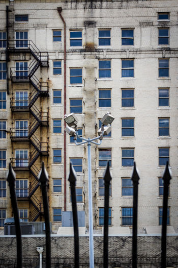 Bird perching on building in city