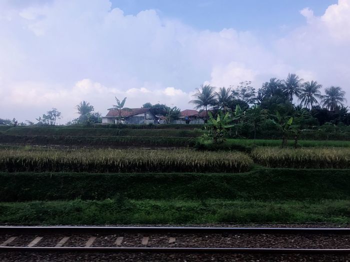 Scenic view of farm against sky