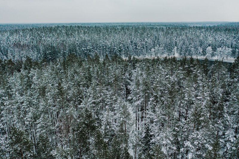 Scenic view of sea against sky during winter