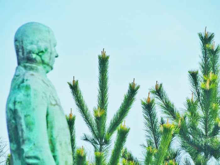 Statue and plants against clear sky