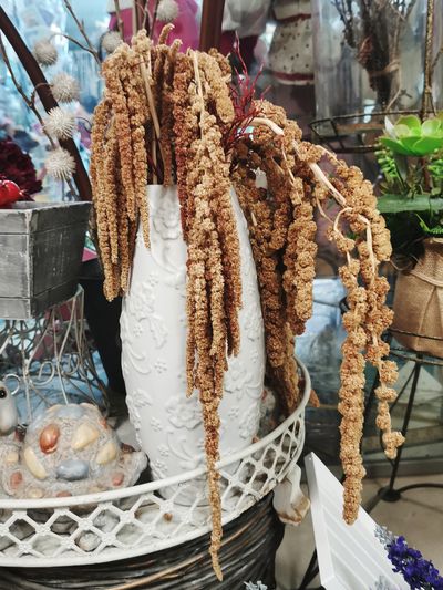 Close-up of dried for sale at market stall