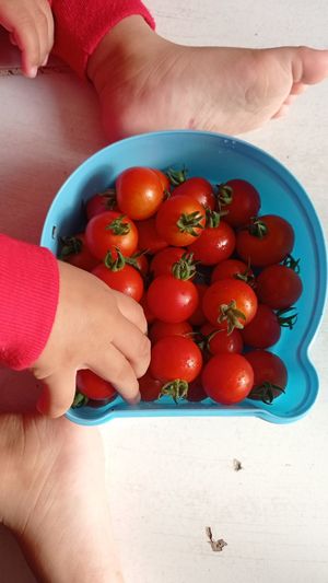 The little baby girl and a bowl of fresh red cherry tomatoes 