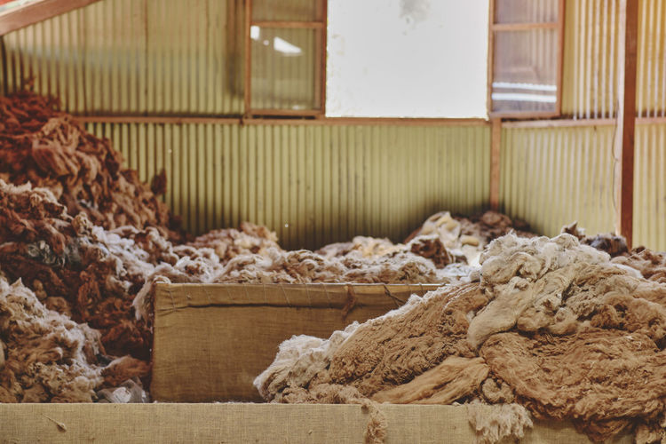 Fibers in an alpaca wool manufacturing facility. alpaca wool production in peru