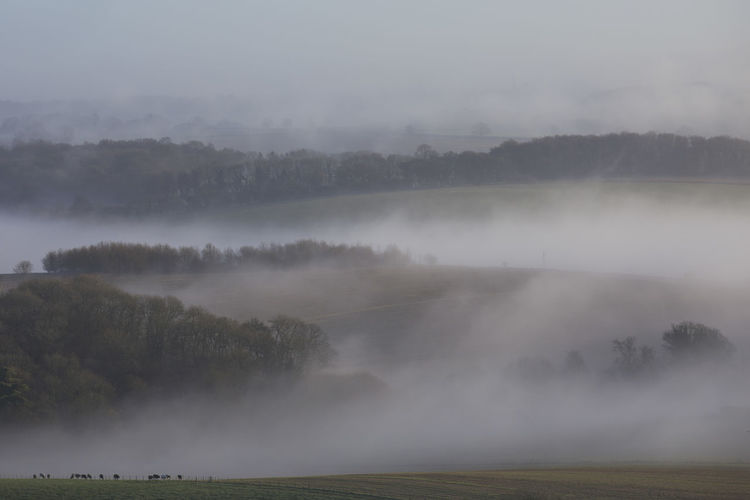 Mist hangs over the meon valley, south downs national park, hampshire, uk