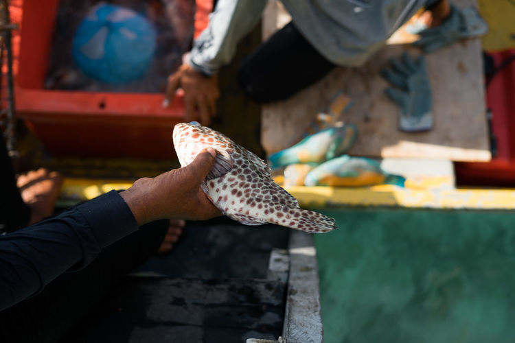 Midsection of man holding raw fish at market.