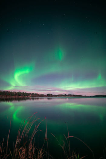 aurora