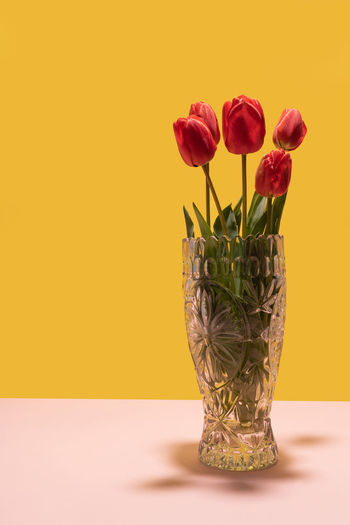 Close-up of vase on table against yellow background