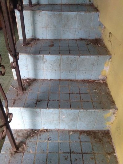 High angle view of tiled floor