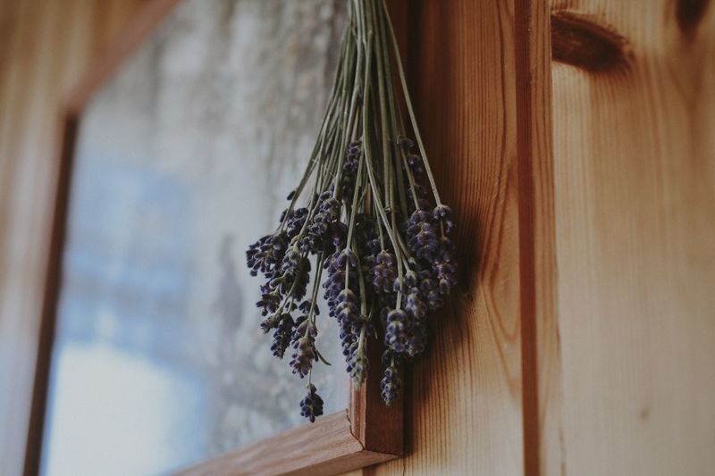 Close-up of window hanging on wooden door