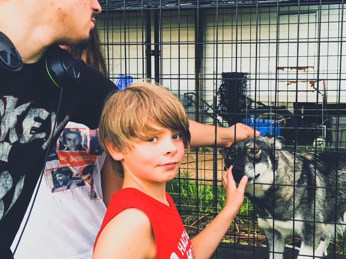 Portrait of boy standing by wolfdog in cage