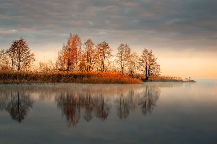 Reflection of trees in lake against sky during sunset