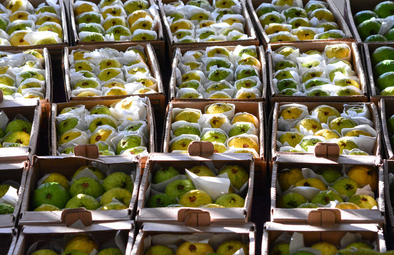 Full frame shot of fruits in container