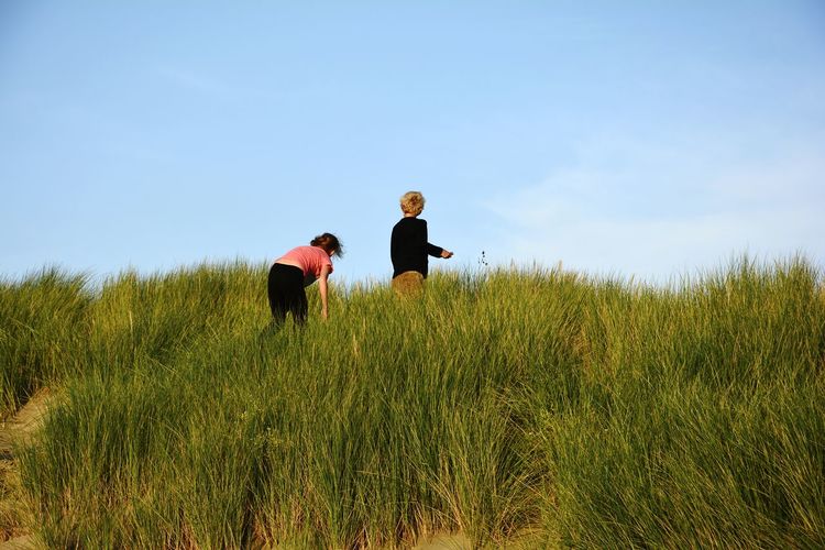 Two children runs on a dune by the north sea with grass and blue sky, zeeland in the netherlands