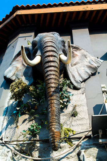 Close-up of elephant statue