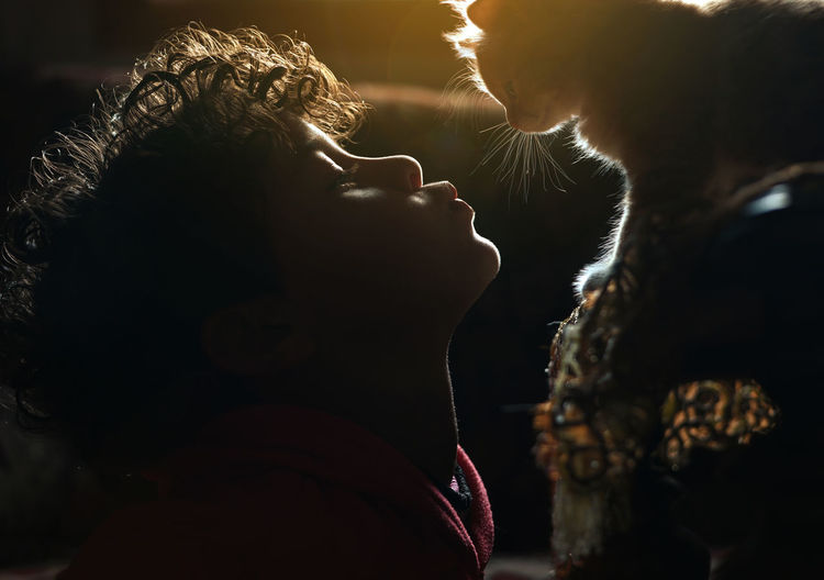 Close-up of boy kissing cat in darkroom