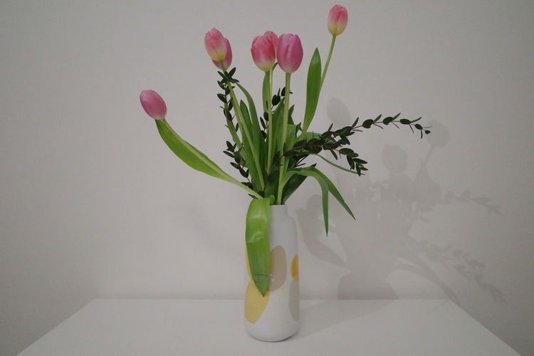 Close-up of pink flower vase against wall