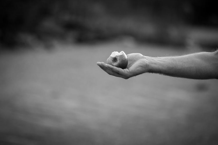 Close-up of hand holding apple outdoors
