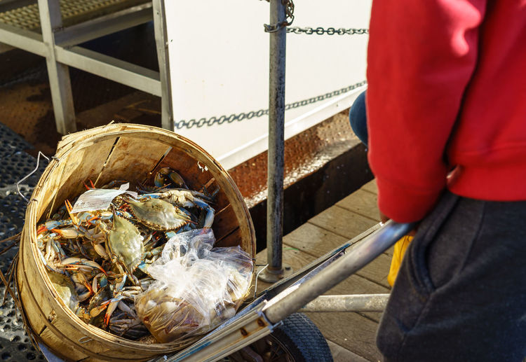 Midsection of man pushing crustaceans bucket at fishing industry