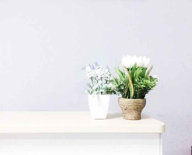 Close-up of white flowers in vase on table