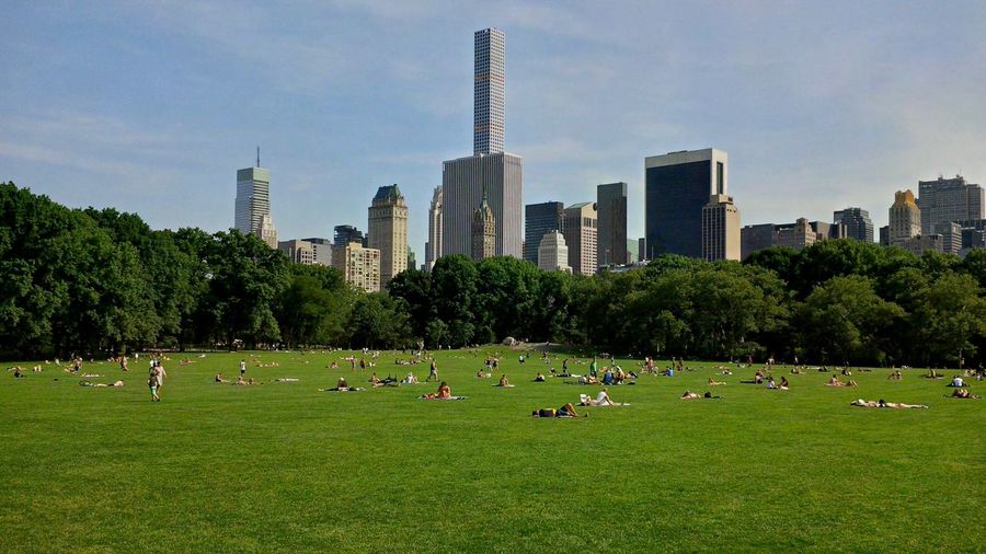 The sheep meadow in central park - an urban park in manhattan, new york city