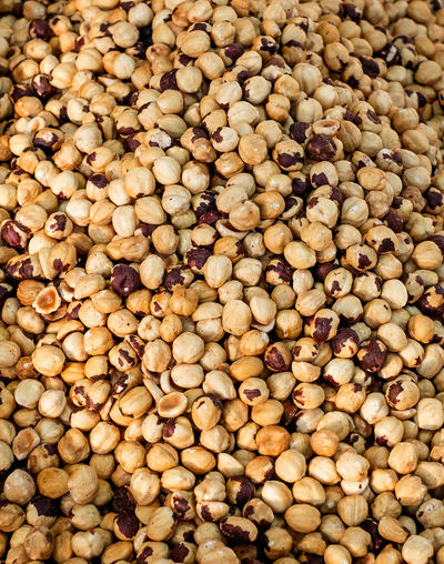 Dried and roasted hazelnuts background